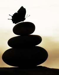 Picture for LIfe in Balance package